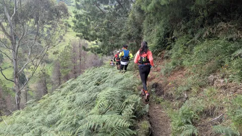 Runners on a misty forest trail