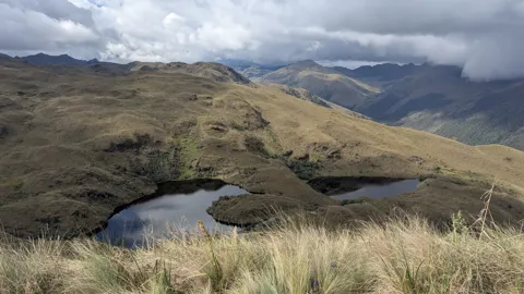 Páramo lake basin. The water body is not securely named.