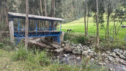 A small covered bridge beside a creek