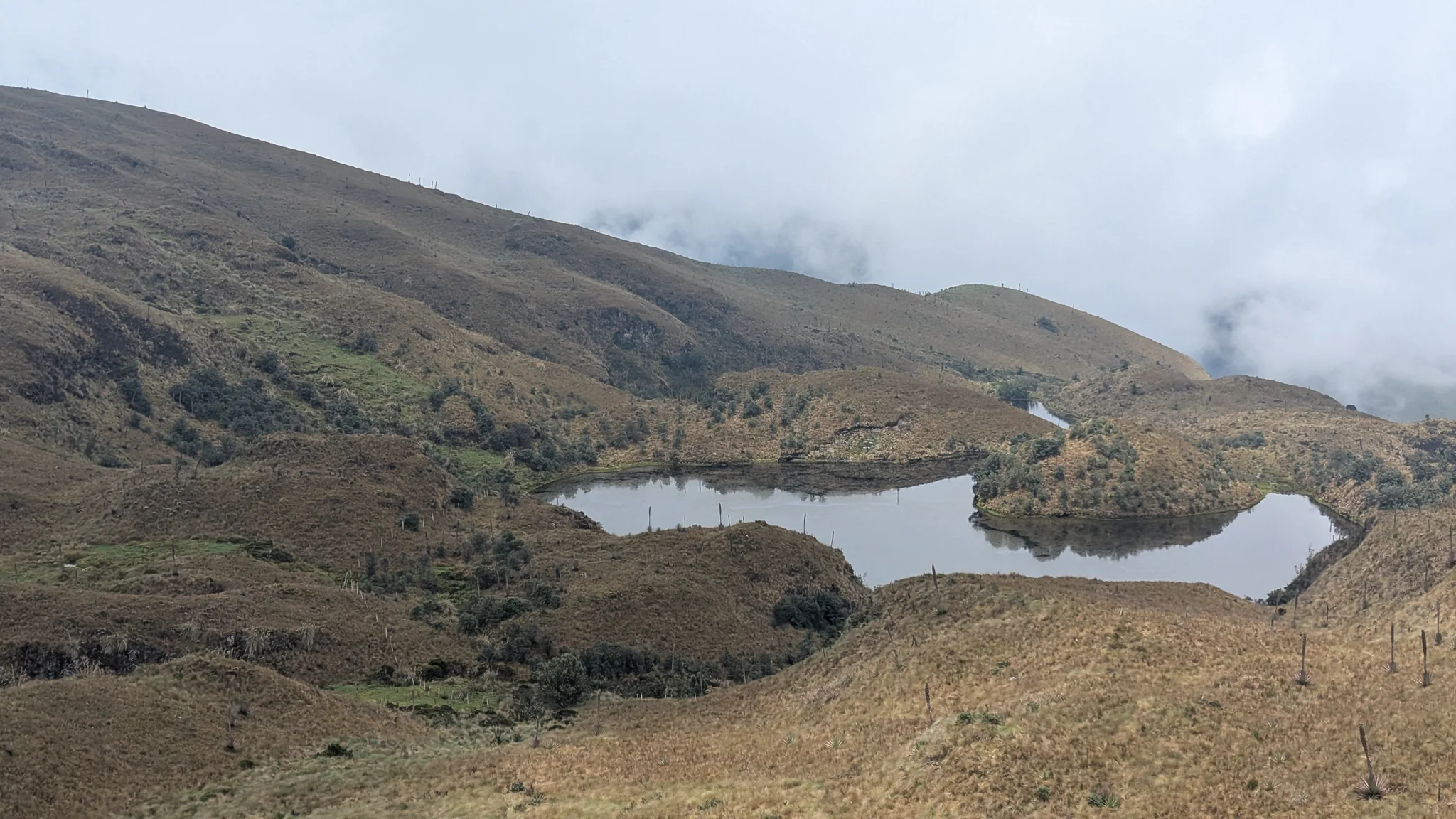 An unnamed lake and peninsula near Cerro Minas. The water body is not securely named.