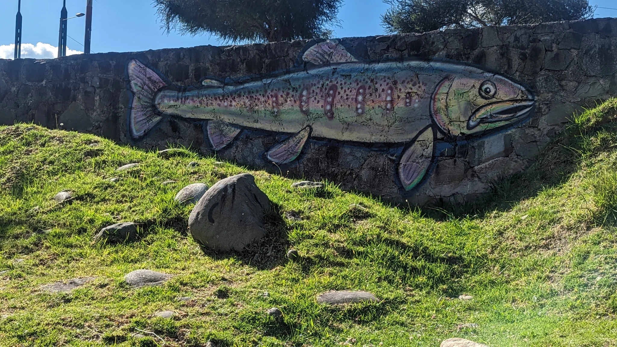 A fish painted across a large rock