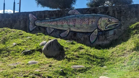A fish painted across a large rock