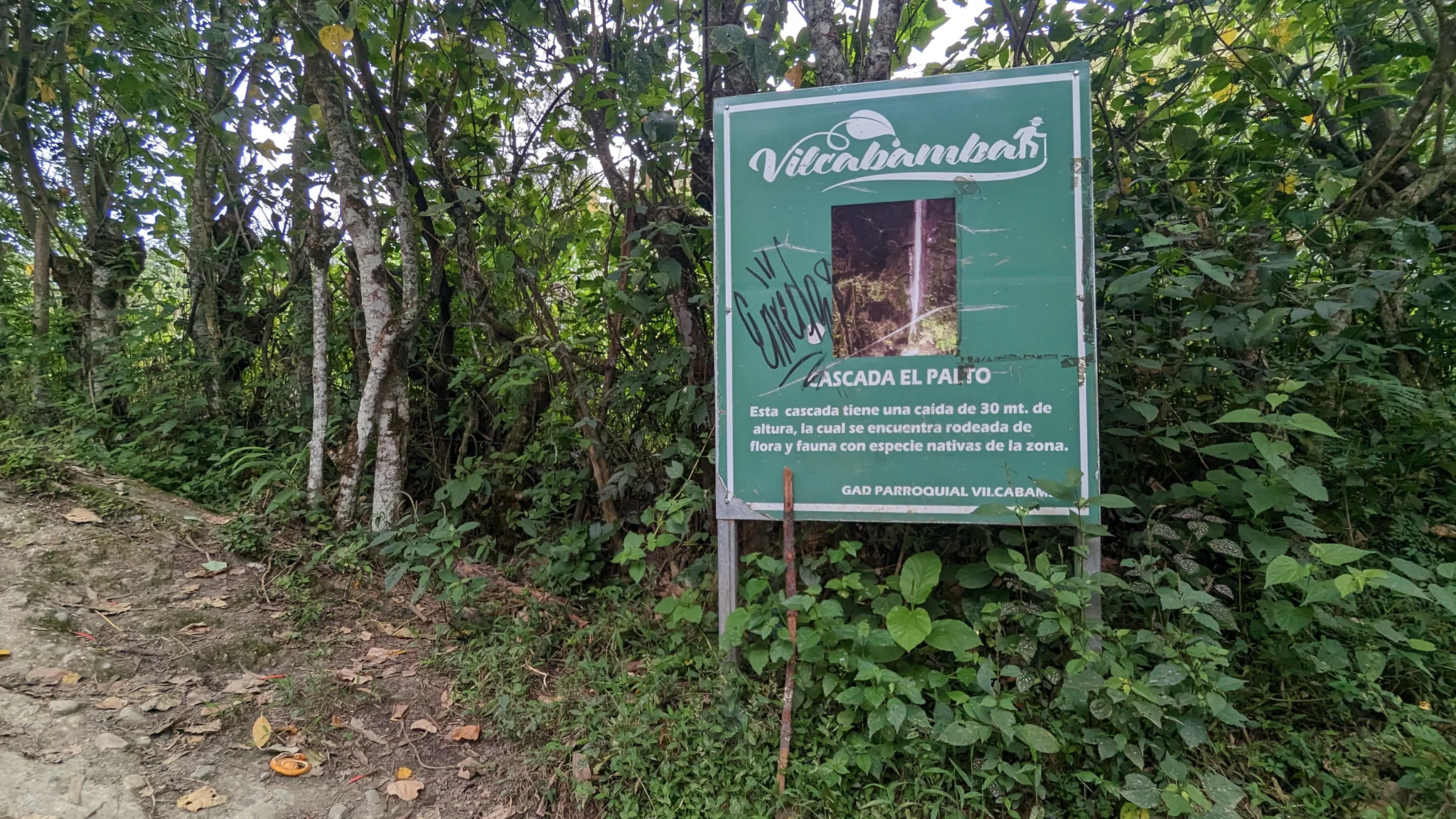 A woodland trail entrance