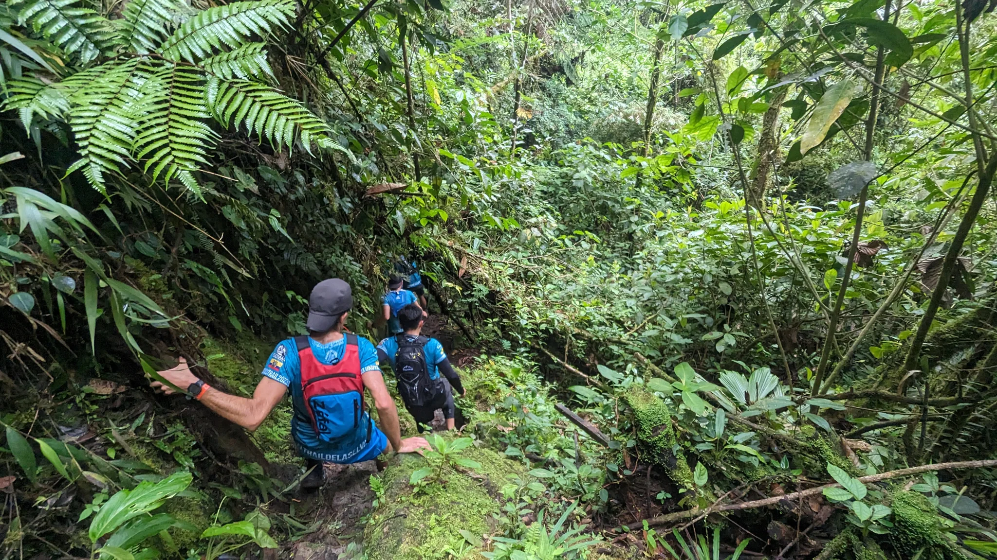 Walking through lush forest