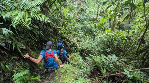 Walking through lush forest
