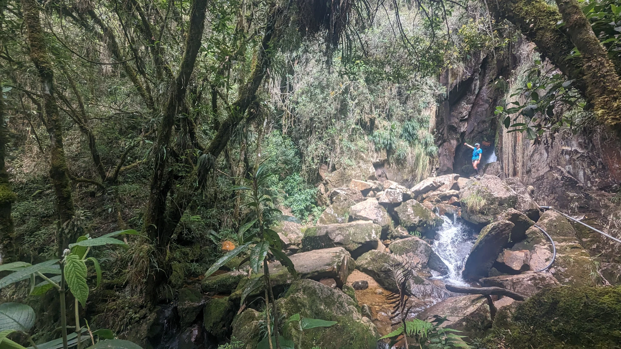A shaded creek among mossy rocks