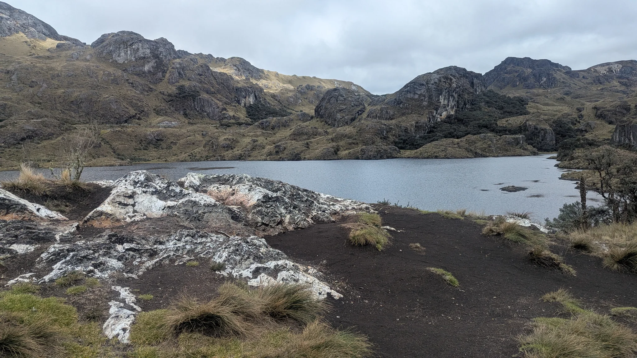 White-streaked foreground rocks lead the eye across Laguna Toreadora toward the surrounding páramo ridges.