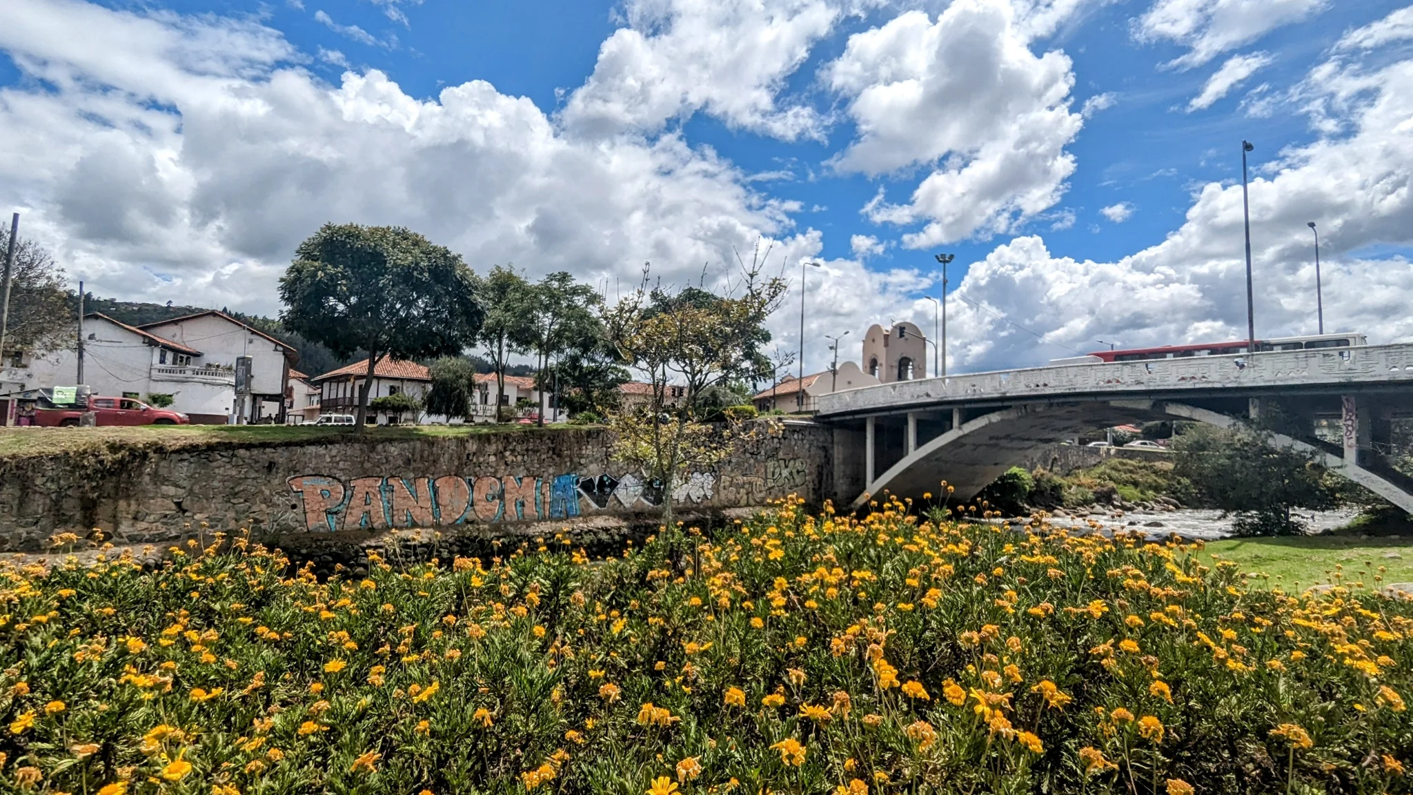 Yellow and orange Tagetes flowers fill planting beds below a concrete city bridge, with buildings and trees beneath a bright, cloud-filled sky.