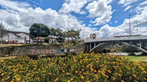 Yellow and orange Tagetes flowers fill planting beds below a concrete city bridge, with buildings and trees beneath a bright, cloud-filled sky.