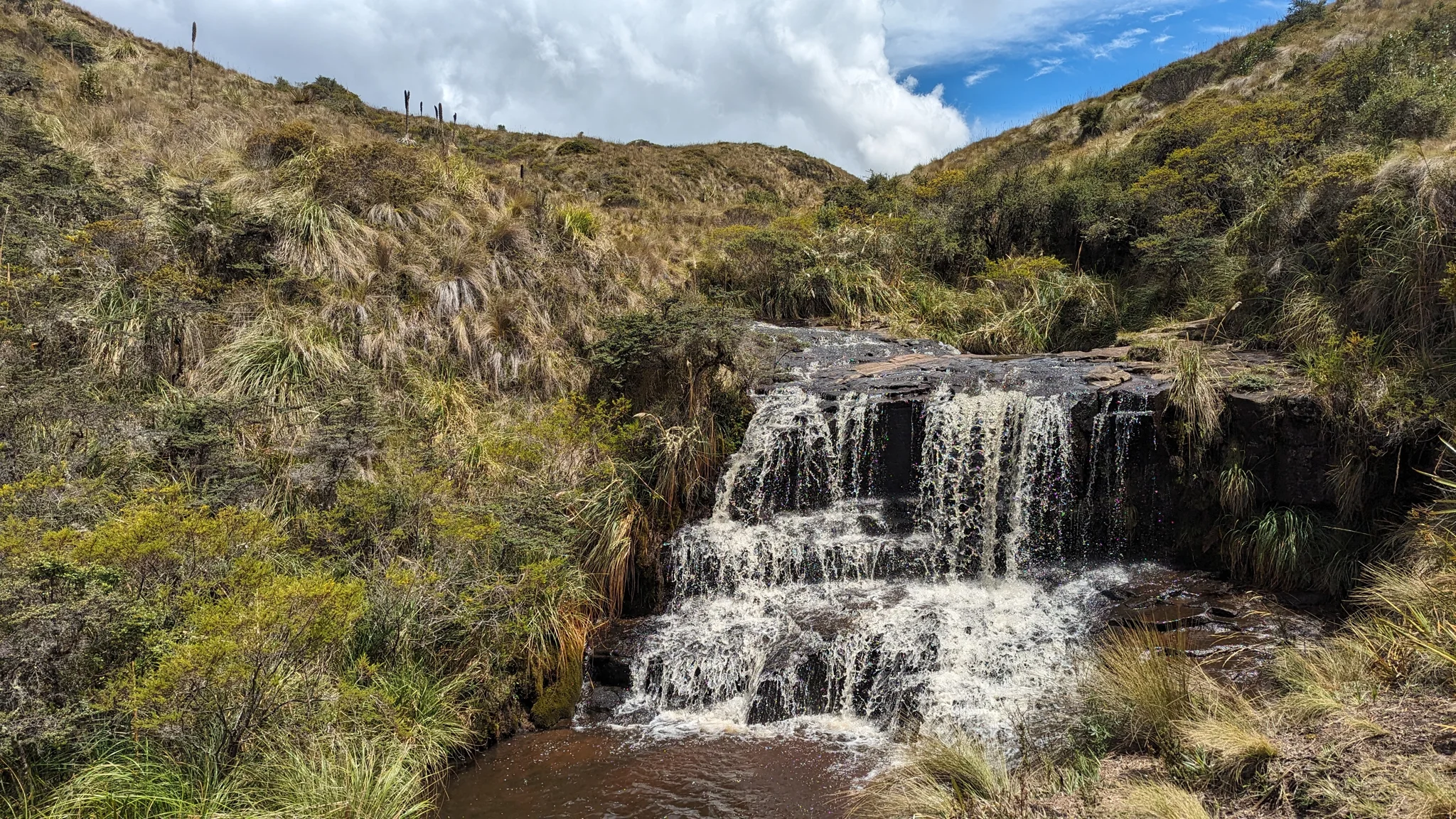 A stepped waterfall among shrubs