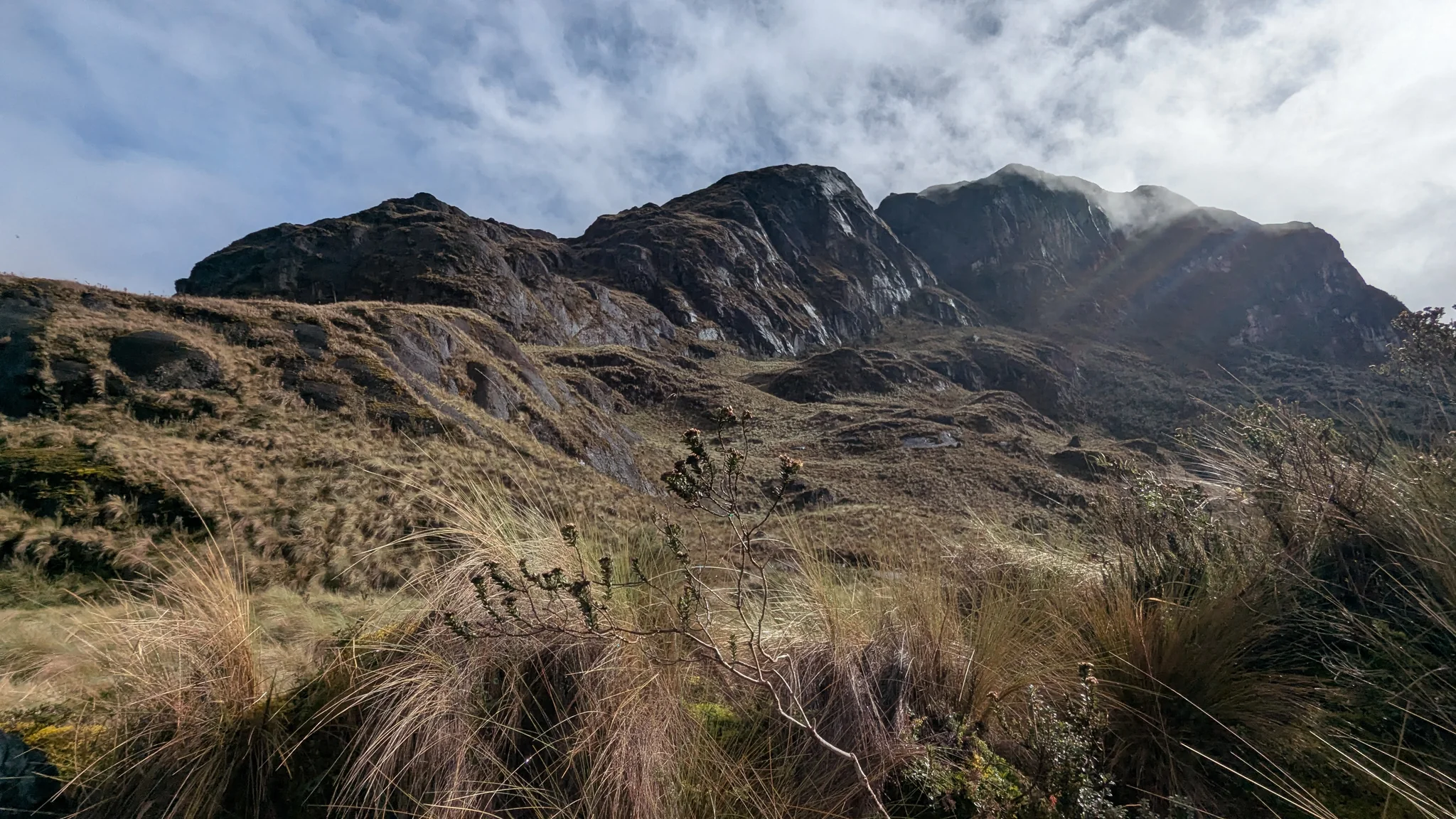 A band of sunlit golden grass runs below a dark, fractured rock wall in the Cajas highlands.