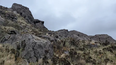 A dark crag above rocky grassland