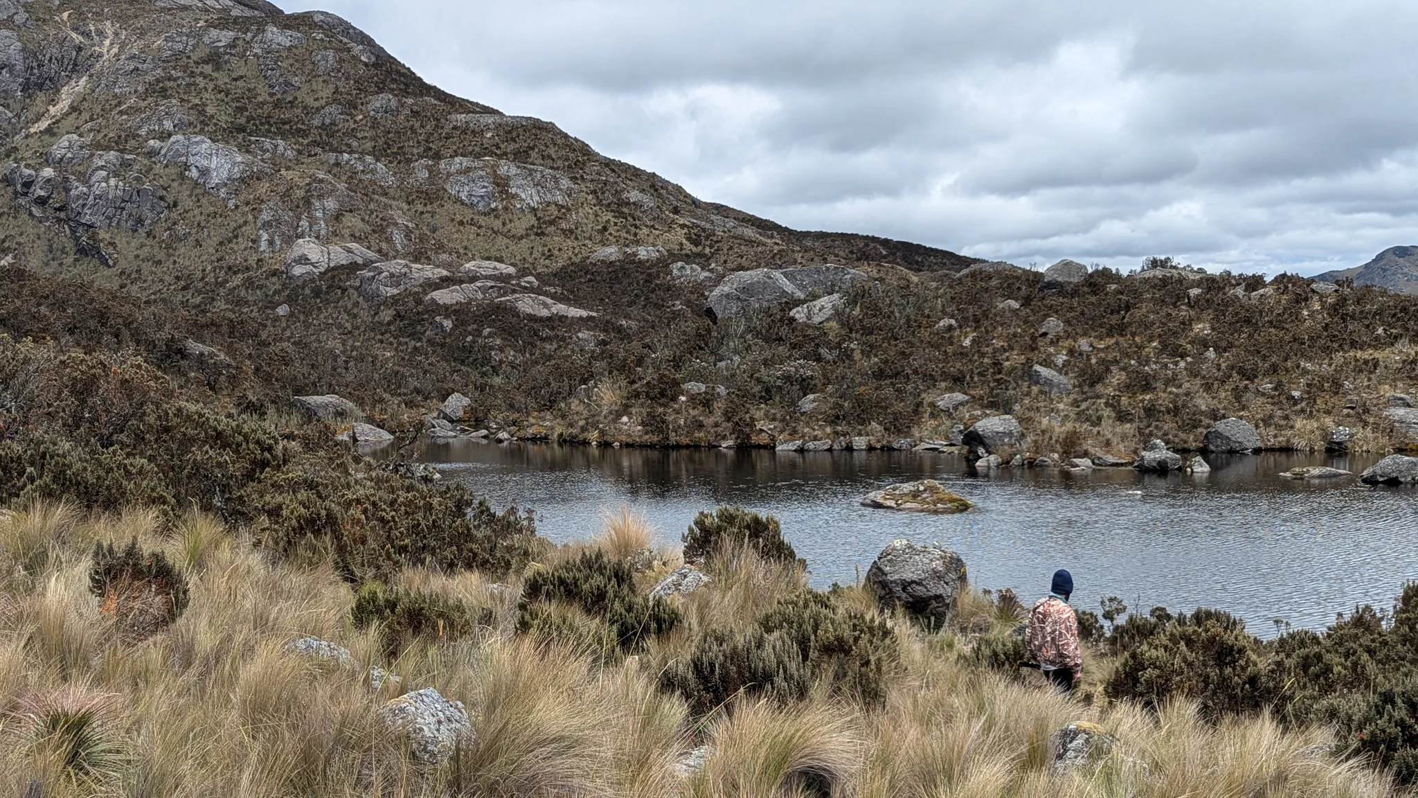Walker beside a small highland lake.