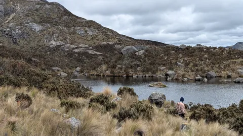 Walker beside a small highland lake.