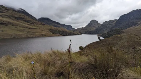 Highland lake below dark ridges.