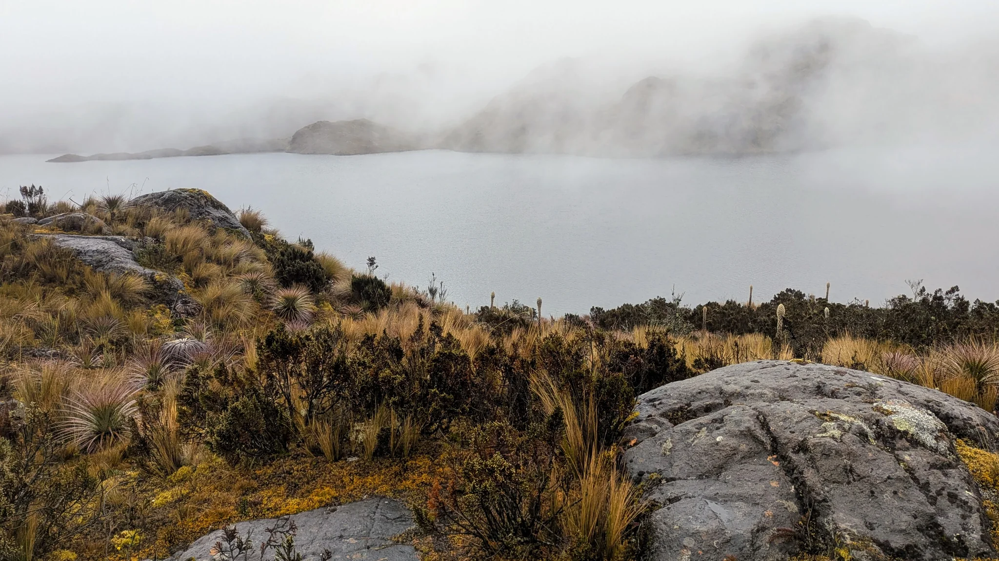 Low cloud spilling across a páramo lake. The water body is not securely named.