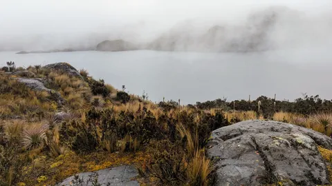 Low cloud spilling across a páramo lake. The water body is not securely named.