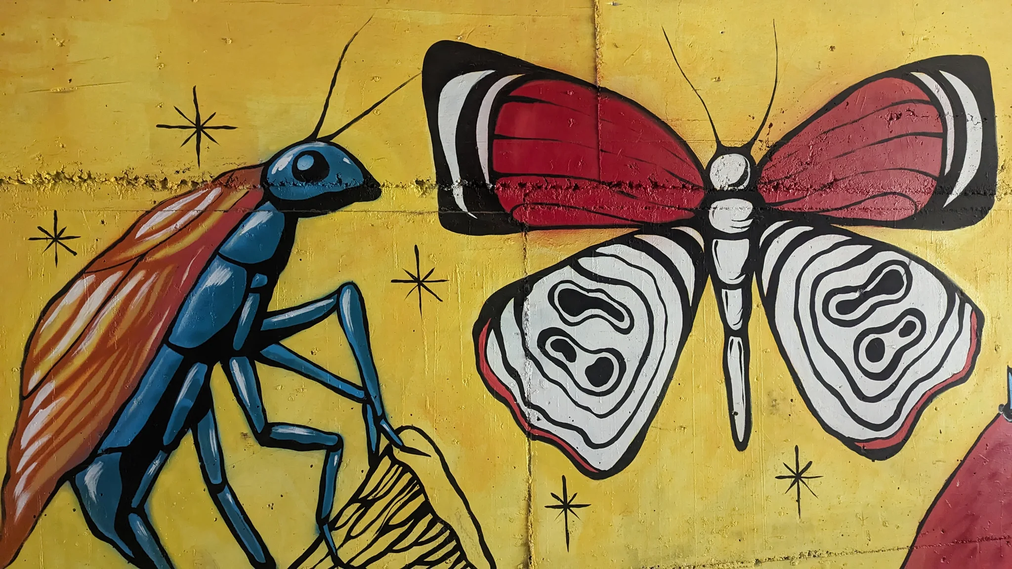 A butterfly against a yellow wall