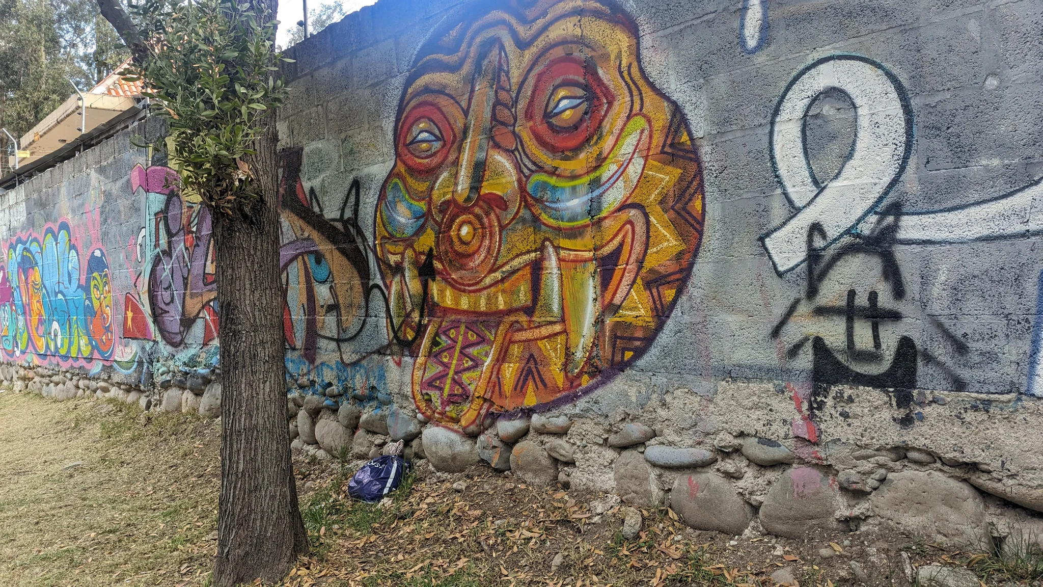 A colourful face on a riverside wall