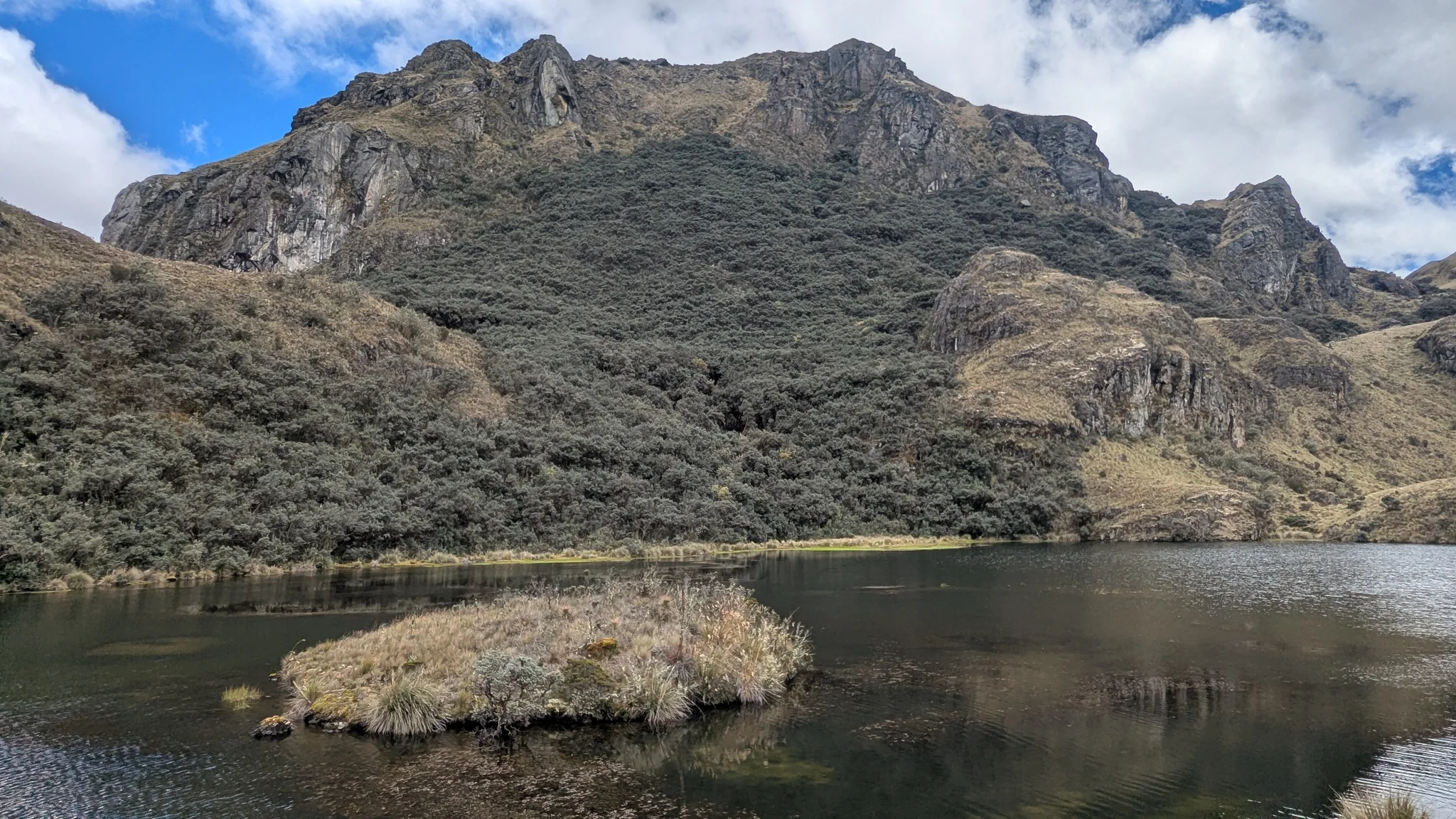 A small grassy islet sits below a tall rock wall in Lagunas Unidas. The background summit is not named here.