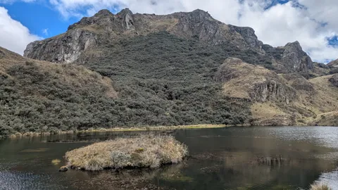 A small grassy islet sits below a tall rock wall in Lagunas Unidas. The background summit is not named here.