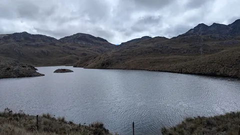 A low rocky islet breaks the surface of Laguna Riñoncocha beneath an open, cloud-covered basin.