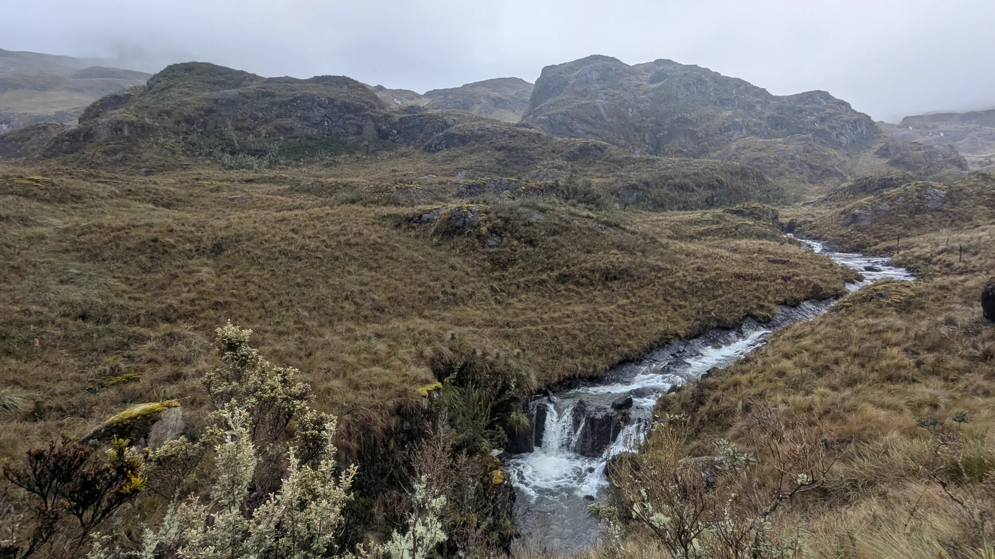 A stream winding through the highlands