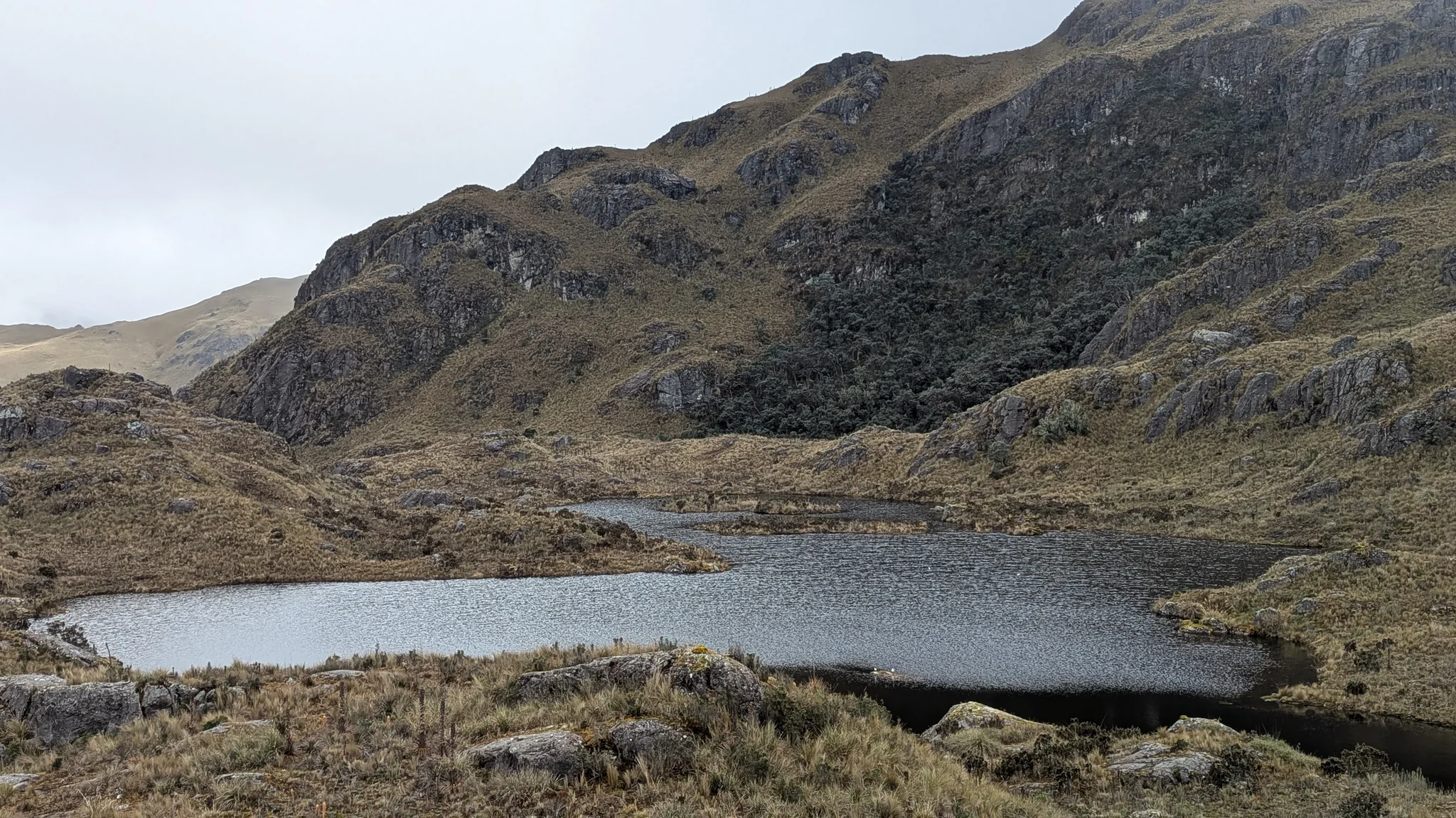 A quiet lake in the upper Dos Chorreras area lies below a wooded rock ridge. Its name remains unresolved.