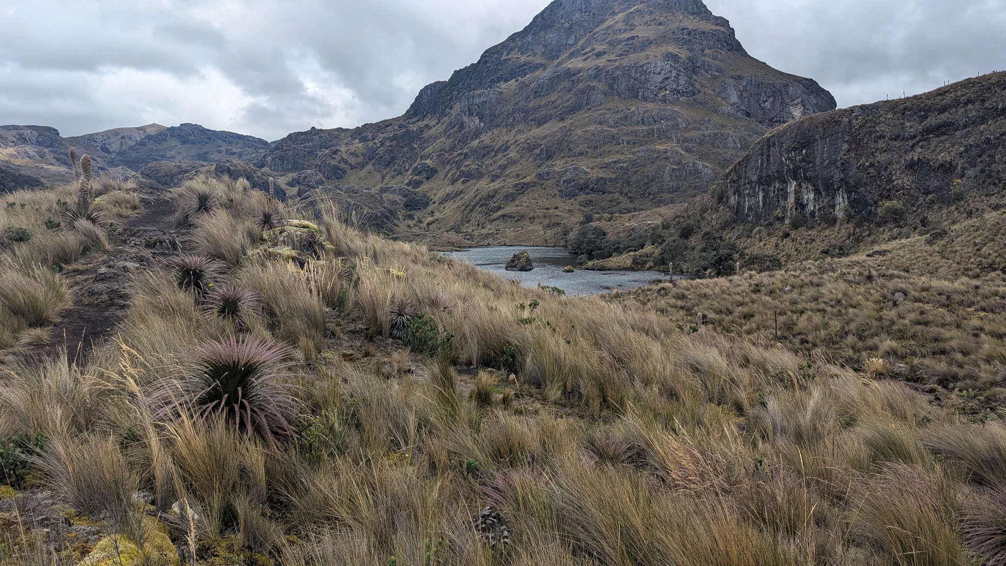 Laguna Toreadora appears beyond a bank of páramo grasses beneath a steep, layered rock summit.