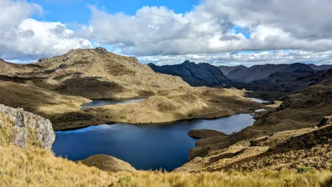Blue water among golden hills