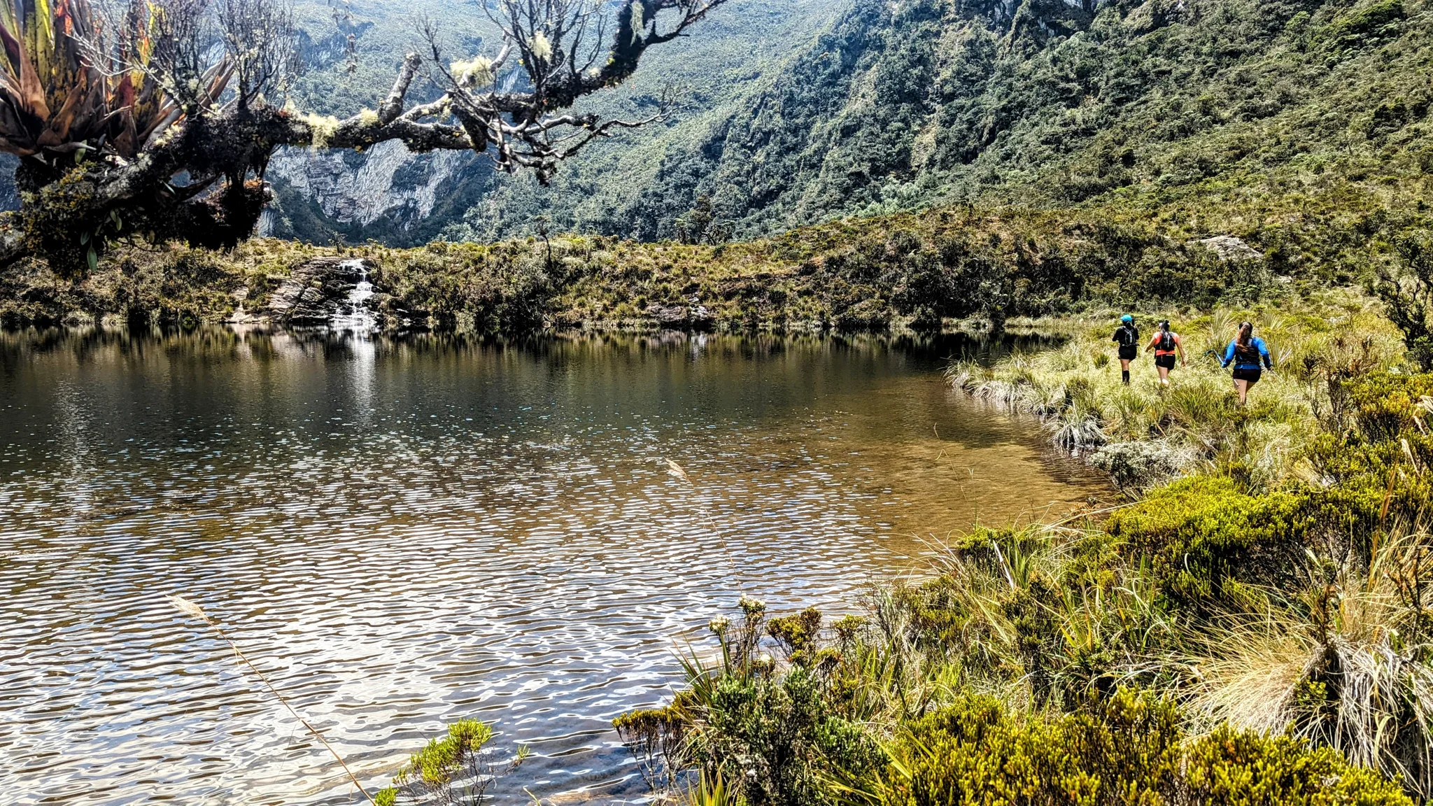 Lake edged with flowering shrubs. The water body is not securely named.