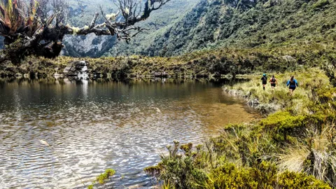 Lake edged with flowering shrubs. The water body is not securely named.