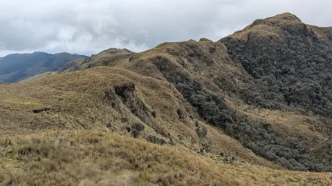 Rolling ridges in afternoon light