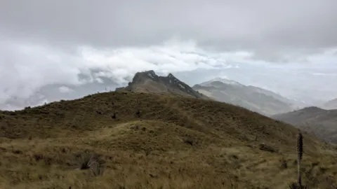 A rounded summit under grey skies