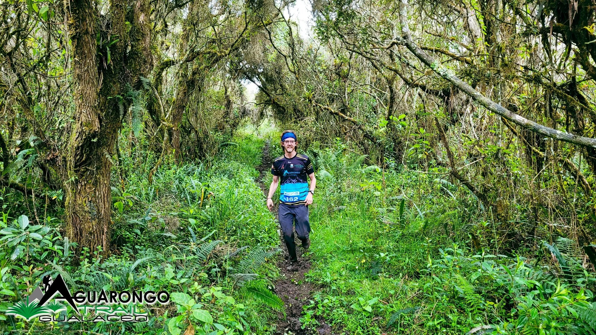 Running beneath a mossy canopy