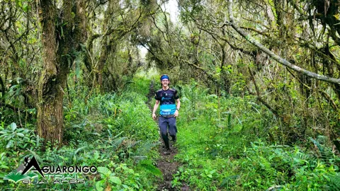Running beneath a mossy canopy