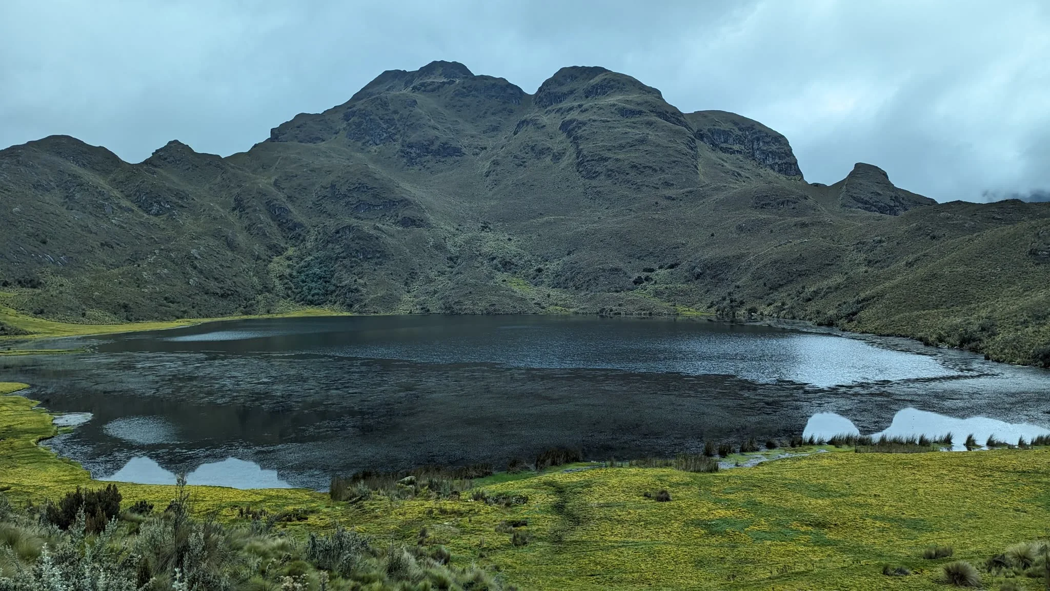 Green wetlands beneath the Togllacocha slopes.