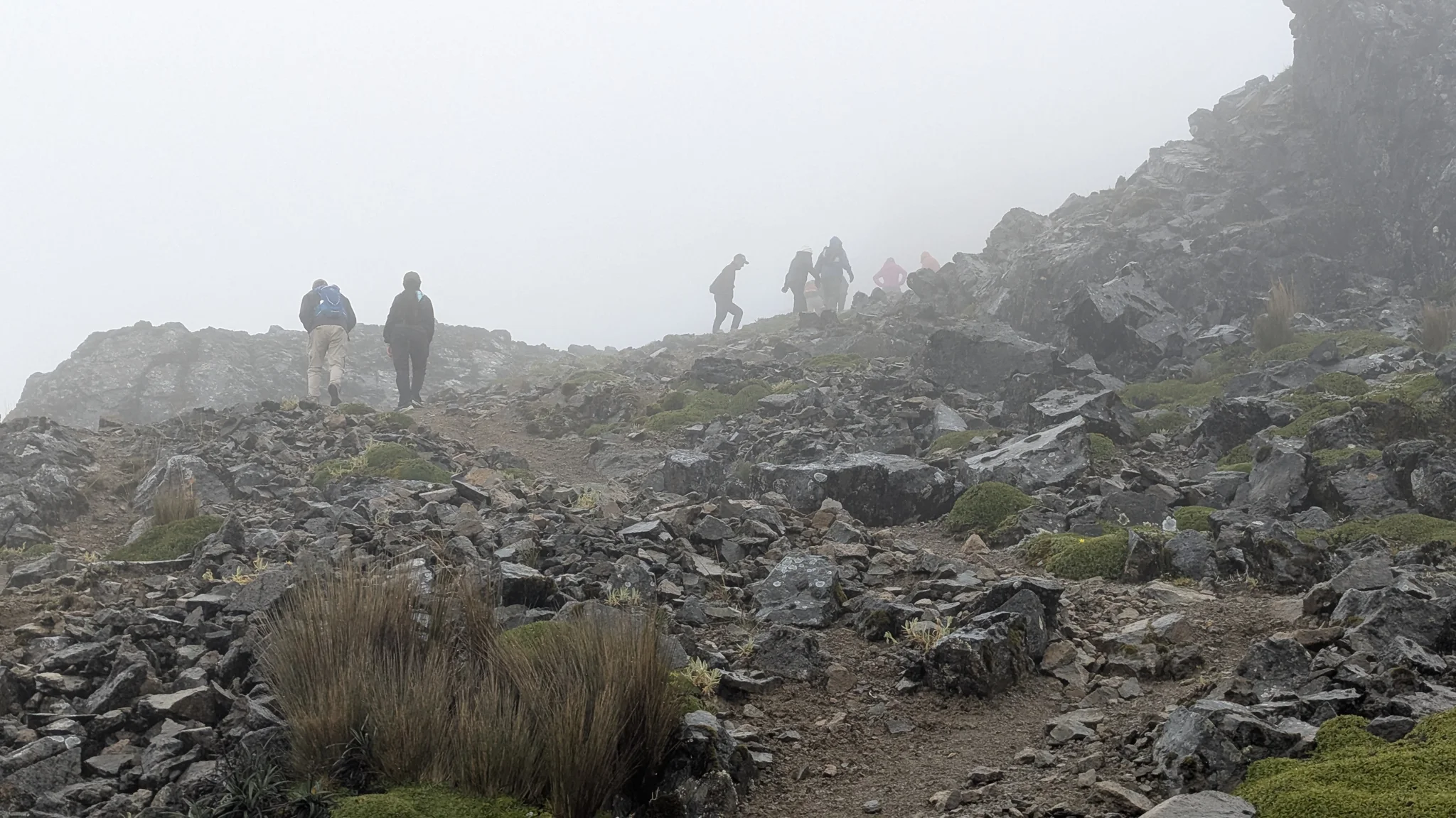 Hikers pick their way through loose blocks and tussock grass as fog obscures the slopes beyond.