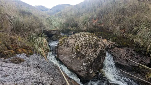 A stream divides around a boulder