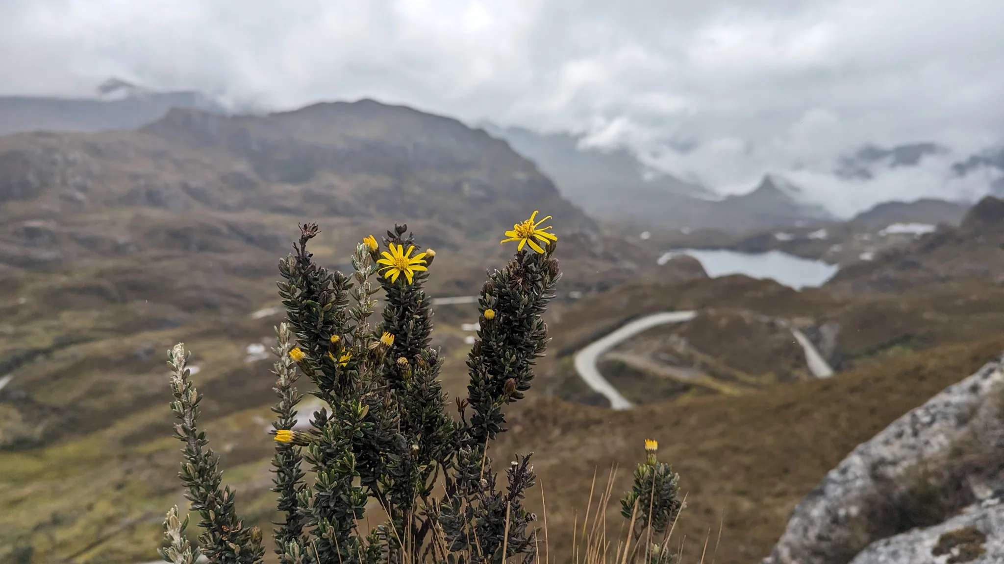 Above a winding mountain valley