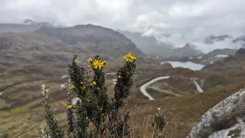 Above a winding mountain valley